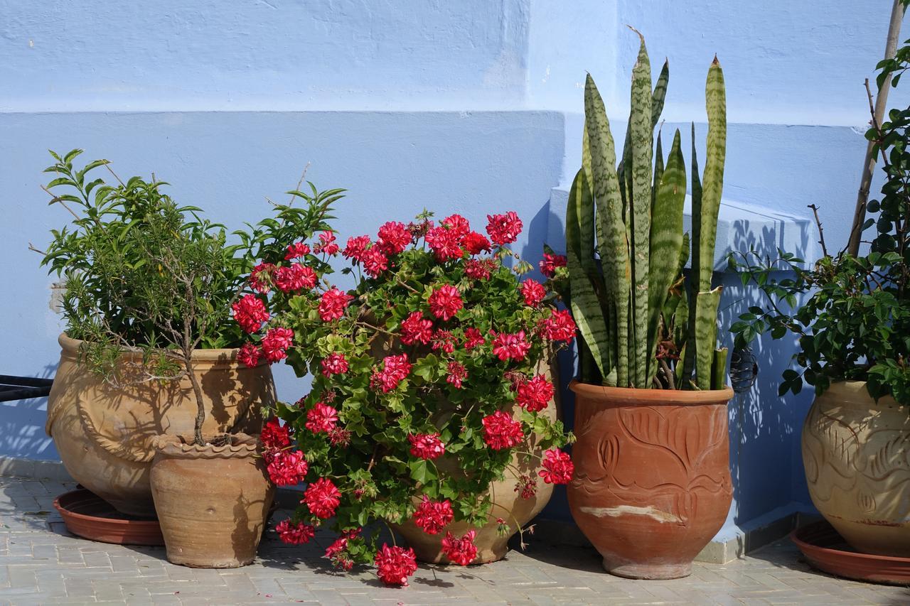Dar Candal Asilah Exteriör bild
